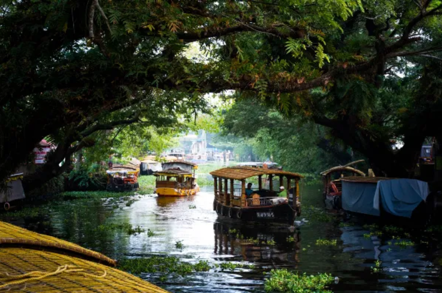 Alleppey Canals